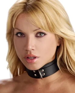 Strict Leather Leashes & Collars>Collar
