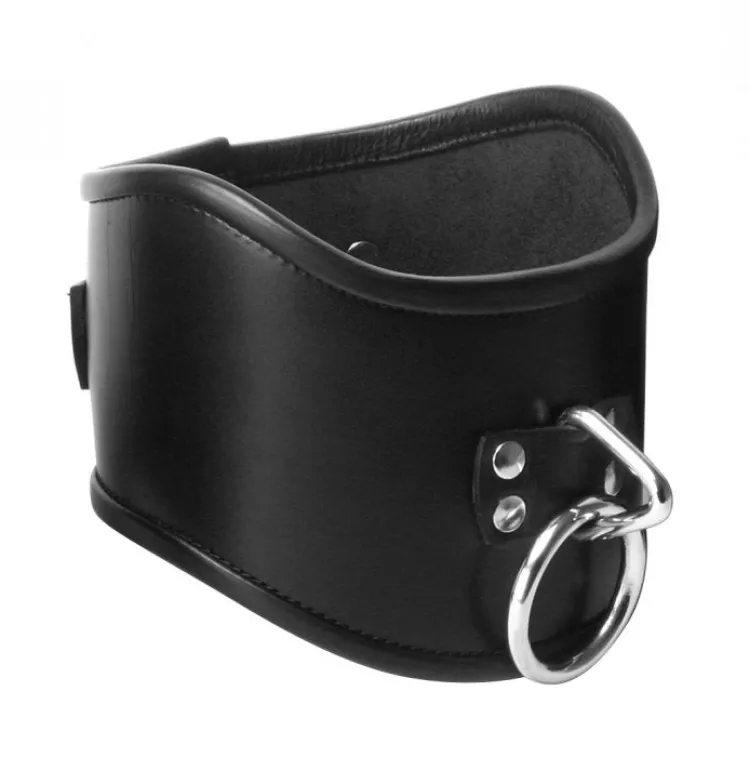 Strict Leather Leashes & Collars>Locking Posture Collar