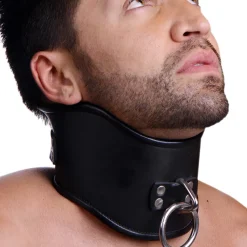 Strict Leather Leashes & Collars>Locking Posture Collar