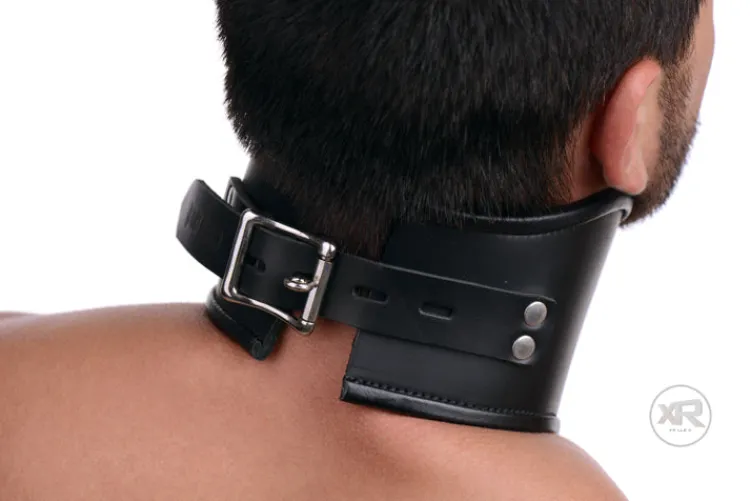 Strict Leather Leashes & Collars>Locking Posture Collar