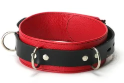 Strict Leather Leashes & Collars>Red and Black Locking Collar