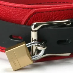 Strict Leather Leashes & Collars><noscript><img width=