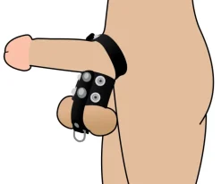 STRICT Cock & Ball Devices | Penis Rings>The Cock Strap and Ball Stretcher