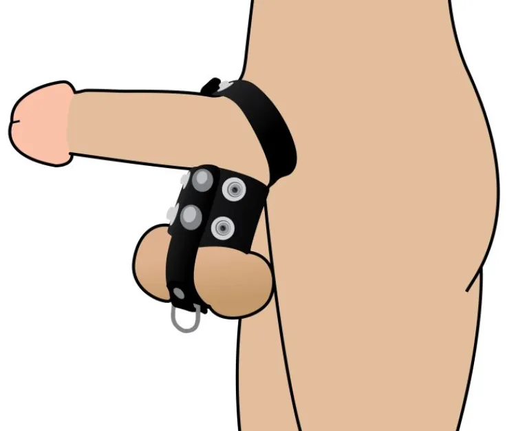 STRICT Cock & Ball Devices | Penis Rings>The Cock Strap and Ball Stretcher