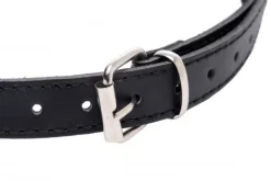 Frisky Ball Gags & Mouth Restraints | Masks & Dress-Up Accessories><noscript><img width=