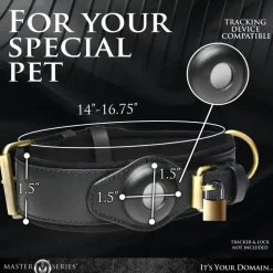 Master Series Leashes & Collars><noscript><img width=