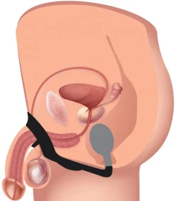 Alpha Pro Cock & Ball Devices | Unique Anal Toys><noscript><img width=