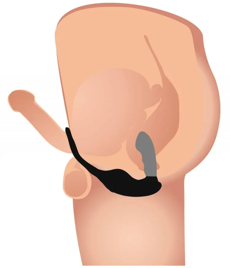 Alpha Pro Unique Anal Toys | Prostate Massagers>7X P-Strap Milking and Vibrating Prostate Stimulator with Cock and Ball Harness